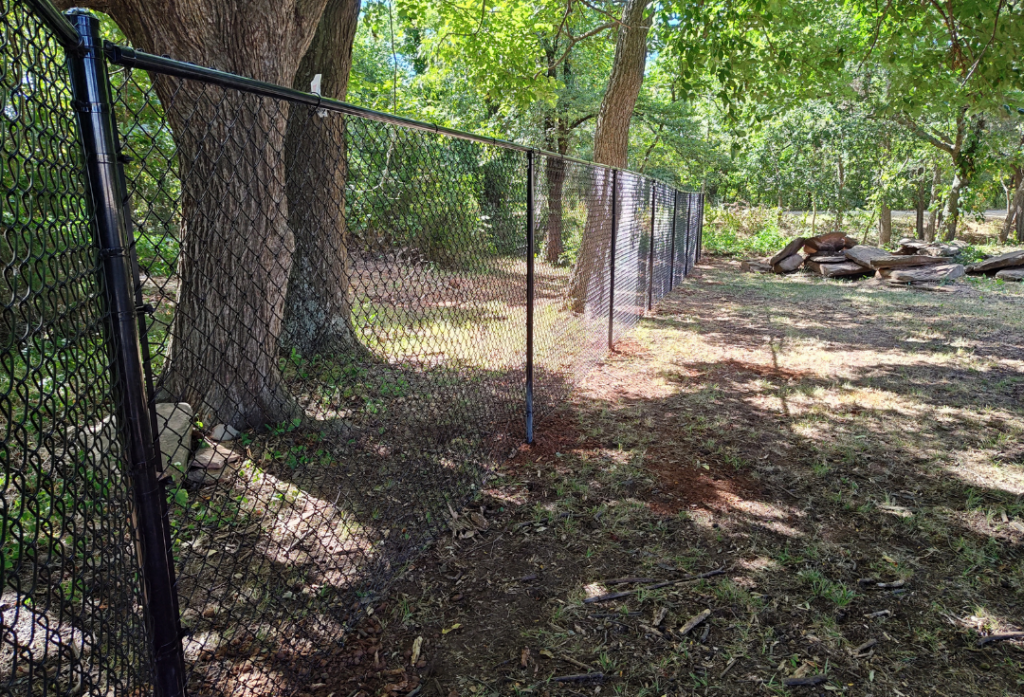 Fence Height